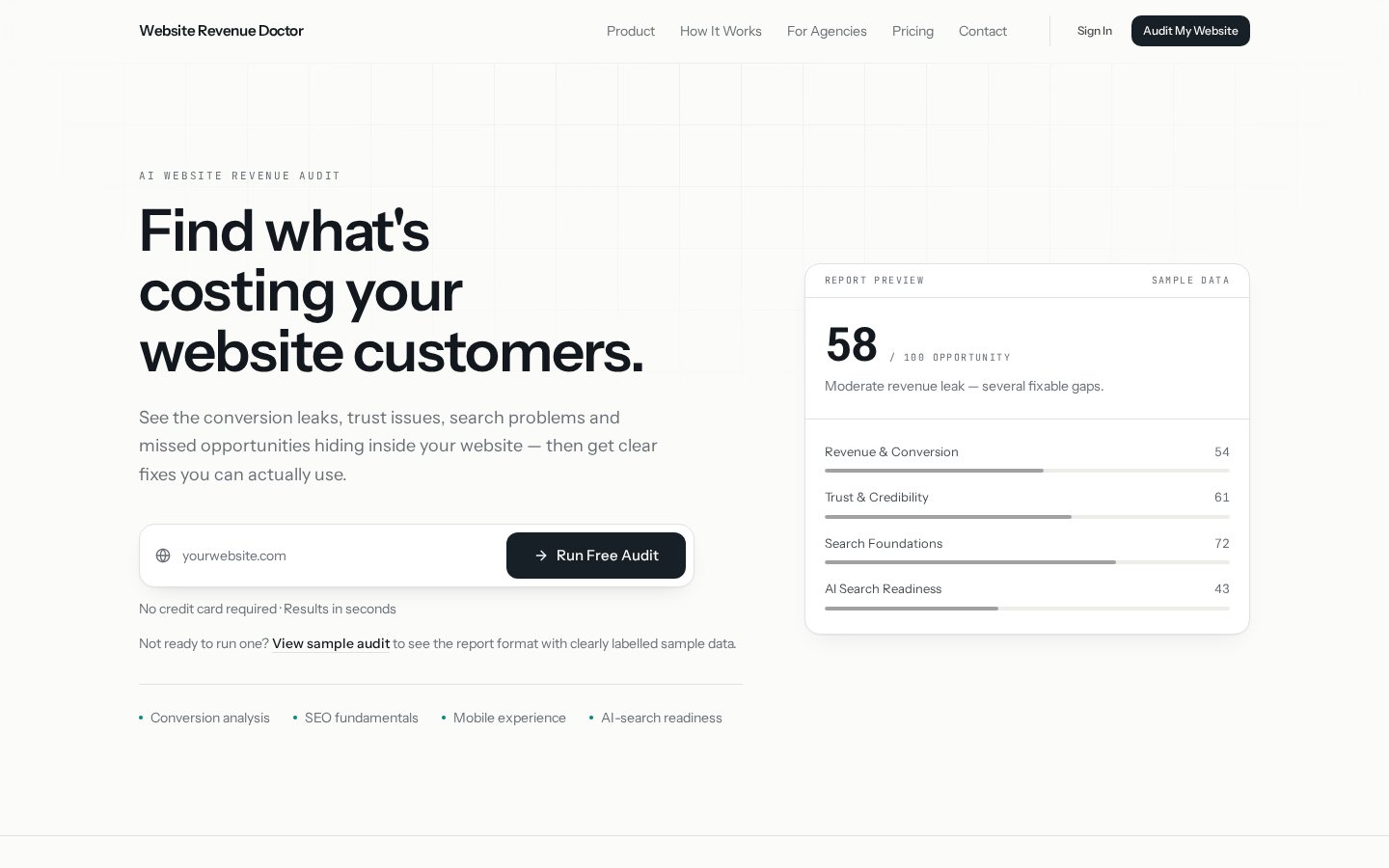 Revenue Doctor landing page with website URL input and report preview